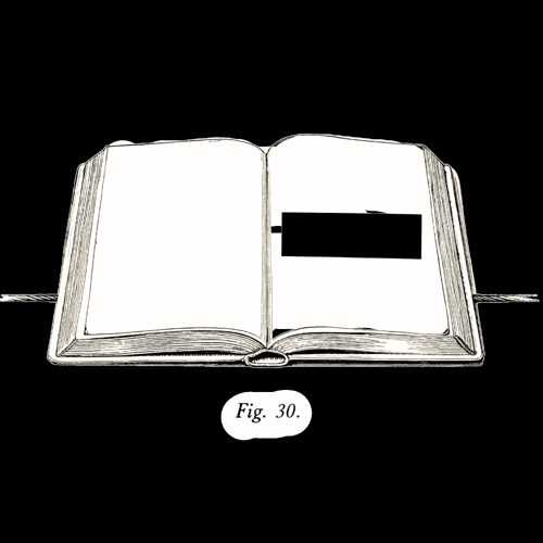 Fig. 30: The Textbook